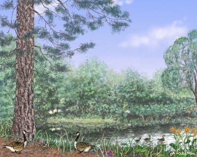 Geese by the Water